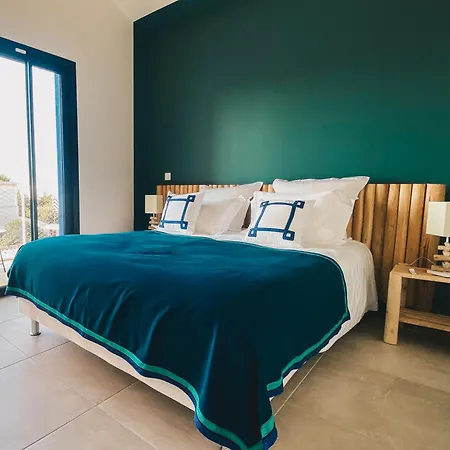 Villa Avec Piscine A Carnon A 20m De La Ideale Pour 8 A 10 Personnes *